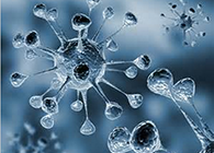 不朽情缘mg官网体内体外药效试验顺利通过药监局审查