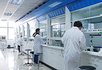 8月10号，庆祝不朽情缘mg官网长期贡献奖-欧洲十日行员工凯旋归来