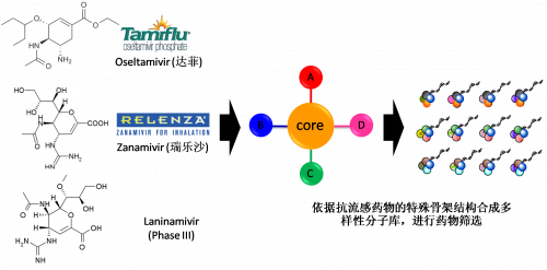 图2：以现有抗流感药物的结构为基。卸嘌砸┪锓肿涌獾暮铣伞