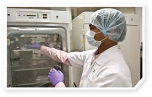 多方博弈：突破中国式研发困境