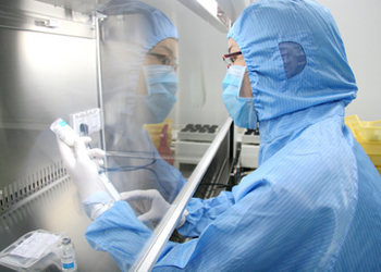 BE试验：如何提升试验成功率