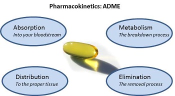 毒代动力学的吸收、分布、代谢、排泄