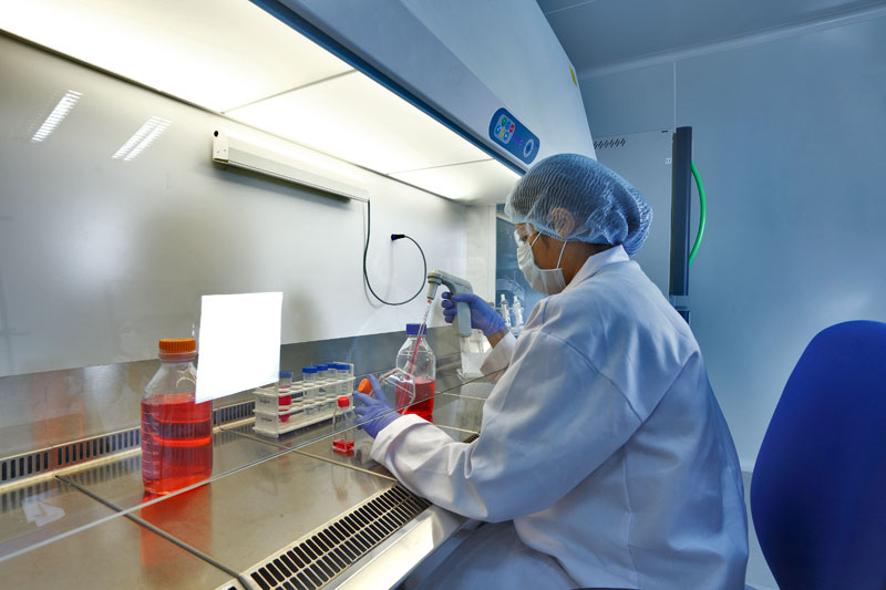 2015年药品特殊审评数据分析：哪些新药搭上了快车？