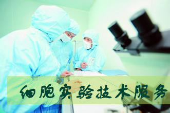 不朽情缘mg官网细胞实验服务外包