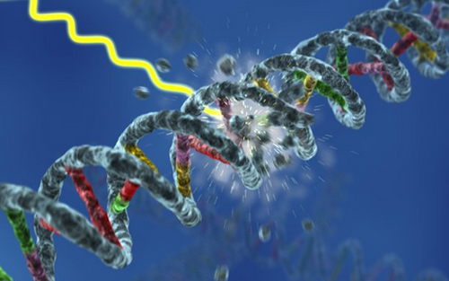 Nature：癌症治疗发现新靶点