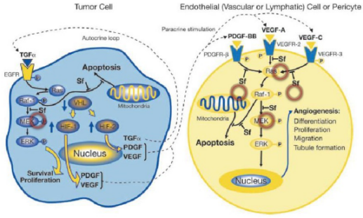 多靶点药物：创新药物设计的重要思路