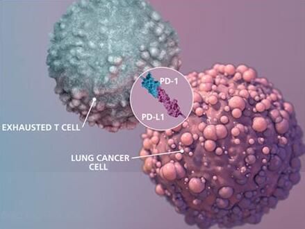 2017年度巨献：癌症免疫疗法重磅级研究解读