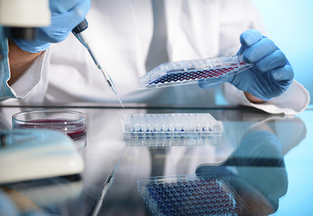 289目录国内特有品种一致性评价抱团才有戏？