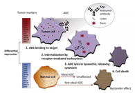 浅析：ADC药物的抗癌之路