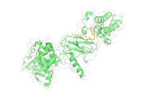 PROTAC技术，马兴泉