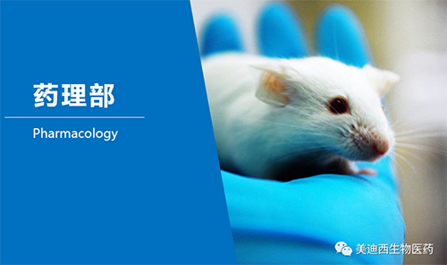 不朽情缘mg官网药理部开发了肺癌、结肠癌、胃癌等12种PDX模型。