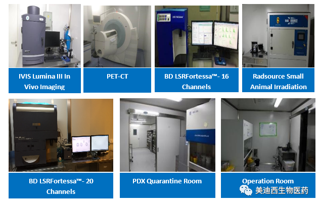不朽情缘mg官网药理部拥有IVIS Lumina III, PET-CT, BD LSRFortessa-16, Flow Cytometry等仪器，提供符合申报，支持临床试验的药效评价服务。
