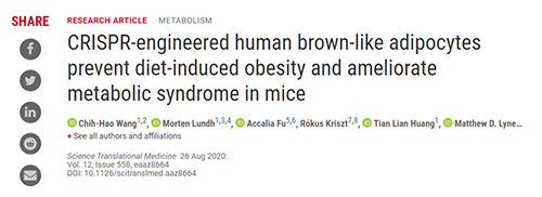 Science|聚焦CRISPR：改造脂肪细胞，“躺瘦”可能要成真了？