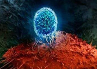 Nature：BATF3改善T细胞记忆应答，有望改善免疫疗法的疗效