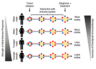究竟为什么ICB疗法在年轻女性肿瘤患者体内收效甚微？