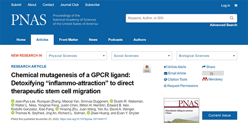 世界首创：药物将干细胞引导至受损部位，提高其愈合能力！
