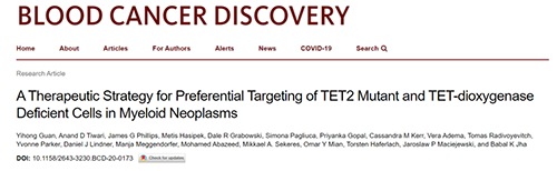 研究者描述了一种新型靶向抗癌药物，这种药物可能会有效地治疗某些常见的白血病。