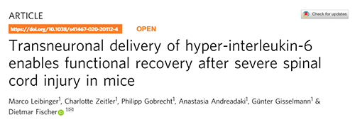 Nature：还瘫痪患者一个自由身的日子不远了