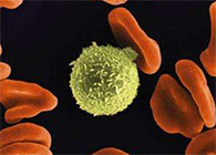 Science子刊：一种FDA批准的抗腹泻药物可有效对抗化疗的耐药性