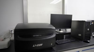 双色红外激光成像仪