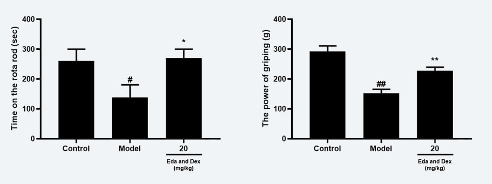 神经功能药效学考察：C 转棒滞留时间；D 抓握力（mean±SEM）.jpg