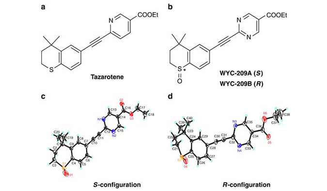 WYC-209可抑制恶性小鼠黑色素瘤肿瘤再生细胞增殖，本研究中SPR通过不朽情缘mg官网使用Biacore 8K进行