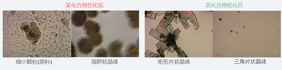 05案例分享-单晶培养，改变晶习.png