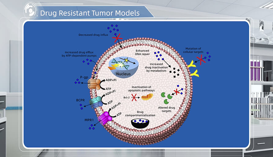 肿瘤耐药机制是什么？