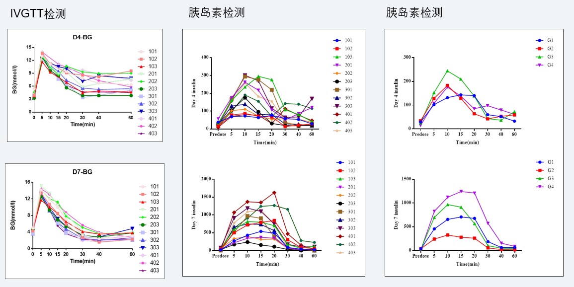 案例4：食蟹猴IVGTT和胰岛素检测实验.jpg