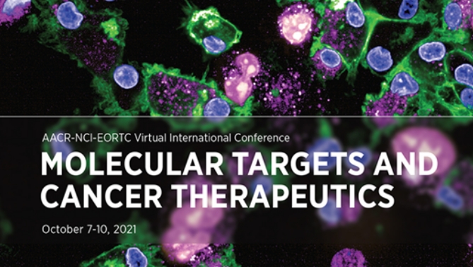 通过联合治疗提高免疫疗法疗效，本研究中临床前体内药效研究通过不朽情缘mg官网进行