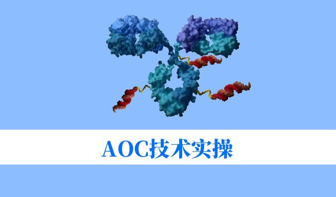 AOC技术实操：偶联化学与表征分析难题全搞定