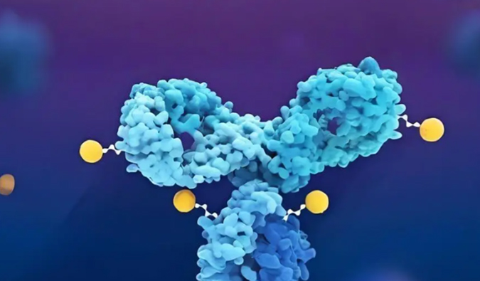 深度剖析：ADC药物生物分析的考量因素